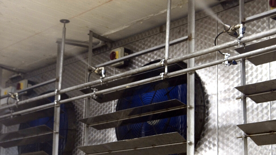 Humidification of fish canning process